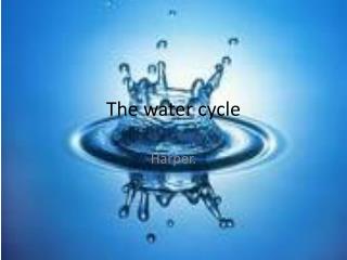 The water cycle