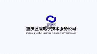 重庆蓝盾电子技术服务公司