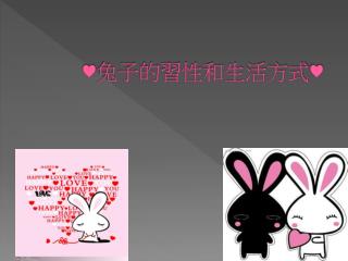 ♥ 兔子 的習性和 生活方式 ♥