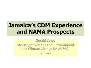 Jamaica’s CDM Experience and NAMA Prospects