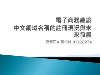 電子商務總論 中文網域名稱的註冊現況與未來發展