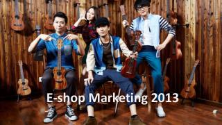 E-shop Marketing 2013