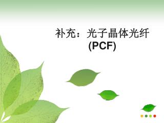 补充：光子晶体光纤 (PCF)