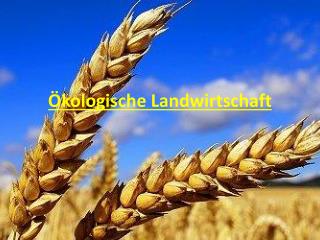 Ökologische Landwirtschaft