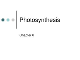 Photosynthesis