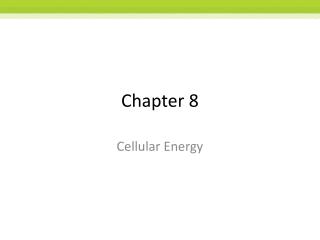 Chapter 8