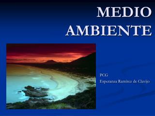 MEDIO AMBIENTE