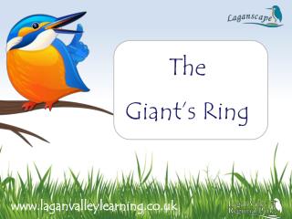 The Giant’s Ring