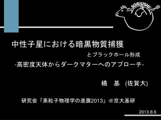 研究会「素粒子物理学の進展 2013 」＠京大基研