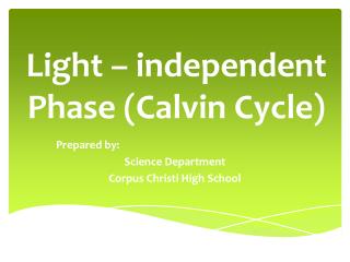 Light – independent Phase (Calvin Cycle)