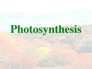 Photosynthesis