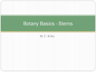 Botany Basics - Stems