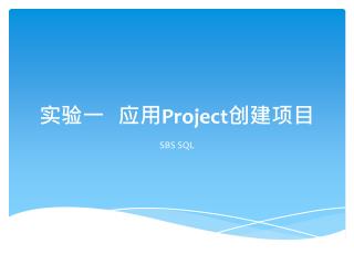 实验一 应用 Project 创建项目