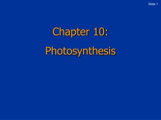 Chapter 10: Photosynthesis