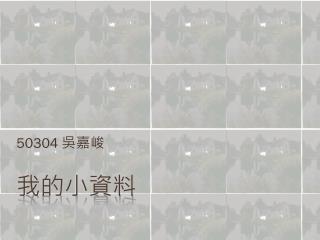 我的小資料