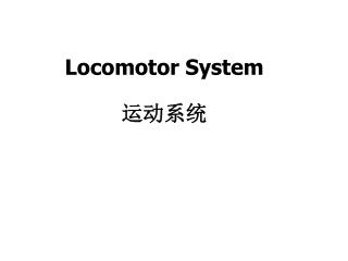 Locomotor System 运动系统