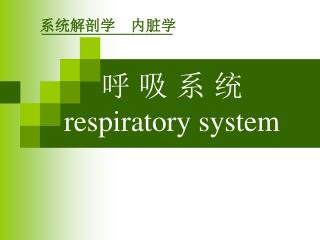 呼 吸 系 统 respiratory system