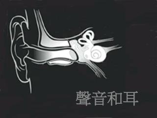 聲音和耳