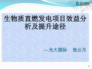 生物质直燃发电项目效益分析及提升途径 --- 光大国际 张云月