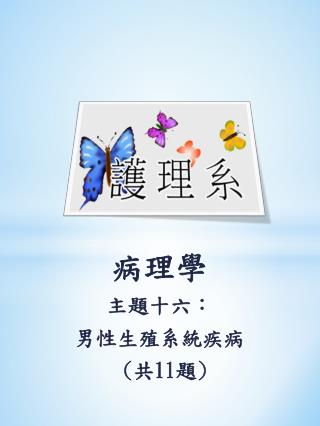 病理學 主題十六： 男性生殖系統疾病 ( 共 11 題 )