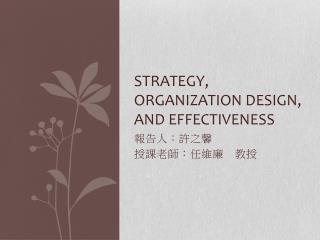Strategy, organization design, and effectiveness