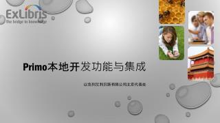 Primo 本地开发功能与集成