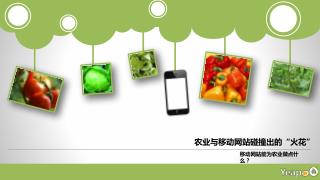 农业与移动网站碰撞出的“火花”