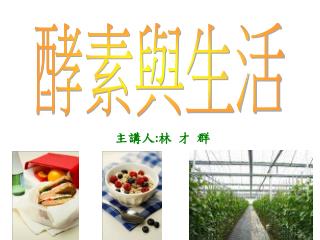 主講人 : 林 才 群