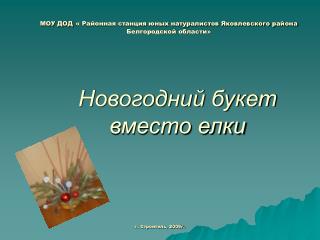 г. Строитель, 2009г.