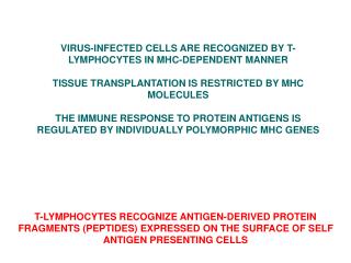 VIRUS-INFECTED CELLS ARE RECOGNIZED BY T-LYMPHOCYTES IN MHC-DEPENDENT MANNER