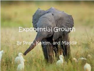 Exponential Growth