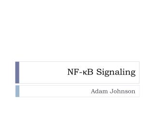 NF- κ B Signaling