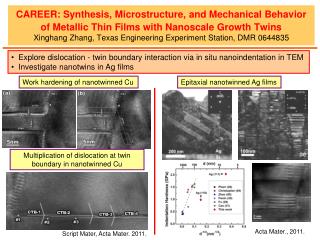 Explore dislocation - twin boundary interaction via in situ nanoindentation in TEM