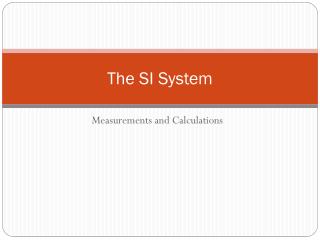 The SI System