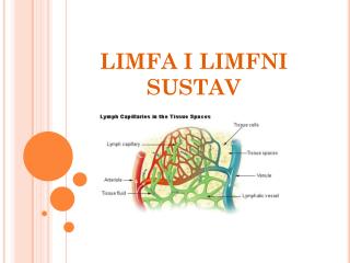 LIMFA I LIMFNI SUSTAV