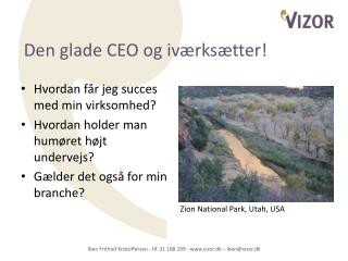 Den glade CEO og iværksætter!