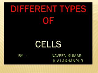 DIFFERENT TYPES OF CELLS BY :- NAVEEN KUMAR 				K V LAKHANPUR