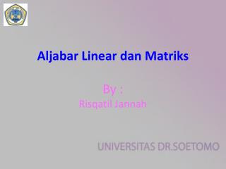 Aljabar Linear dan Matriks By : Risqatil Jannah