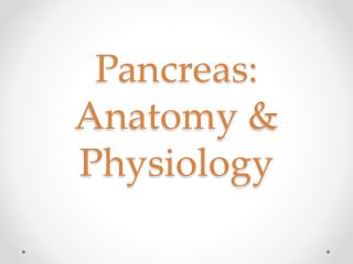 Pancreas: Anatomy &amp; Physiology