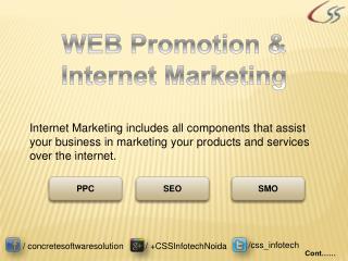 Web Promotion & Internet Marketing by CSS Infotech