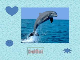 Delfini