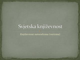 Svjetska književnost