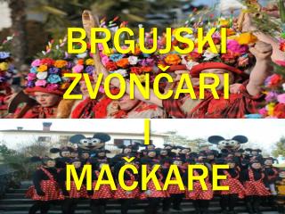 BRGUJSKI ZVONČARI i MAČKARE
