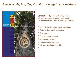 Borrechel Fe, Mn , Zn, Cu, Mg…: ready-to-use solutions