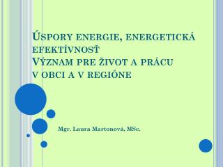 Úspory energie, energetická efektívnosť Význam pre život a prácu v obci a v regióne