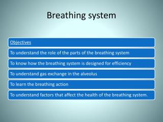 Breathing system