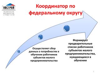 Координатор по федеральному округу