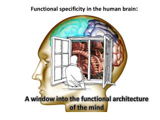 A window into the functional architecture of the mind