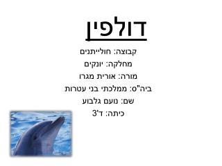 דולפין