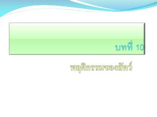 บทที่ 10